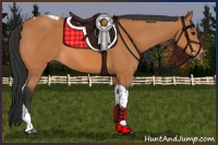 Horse Color:Bay Tobiano 