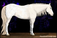 Horse Color:Perlino Dun Appaloosa 