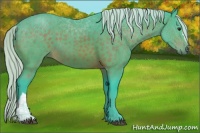 Horse Color:Watercolor Silver Brown 