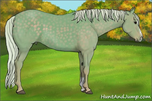 Horse Color:Watercolor Silver Black Sabino
