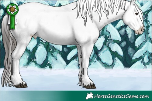 Horse Color:Brown Mushroom Tobiano Appaloosa 