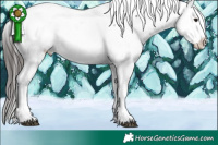 Horse Color:Brown Mushroom Tobiano Appaloosa 