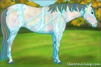 Horse Color:Nacre Thunderstruck Buckskin Ice Roan Onyx Appaloosa