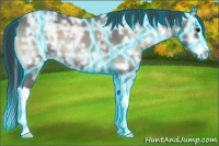 Horse Color:Thunderstruck Blue Onyx Ice Roan Splash