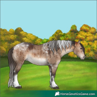 Horse Color:Bay Dun Tobiano Brindle