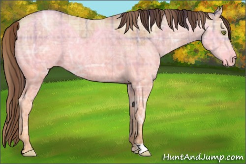Horse Color:Plaid Amber Champagne Ice