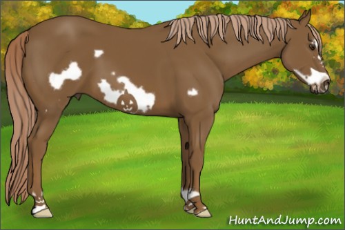 Horse Color:Chocolate Palomino Frame 