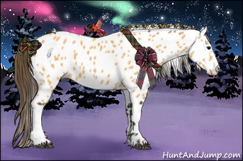 Horse Color:Buckskin Appaloosa 