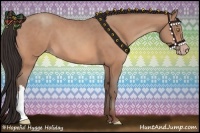 Horse Color:Amber Champagne 