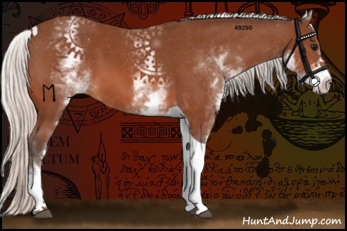 Horse Color:White Spotted Silver Bay Tobiano 