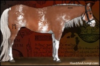 Horse Color:White Spotted Silver Bay Tobiano 