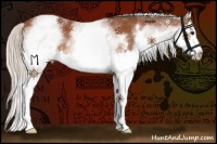 Horse Color:White Spotted Silver Bay Splash 