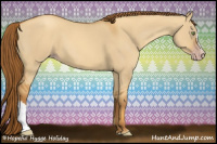 Horse Color:Gray Gold Champagne Dun 