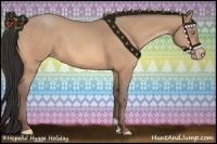 Horse Color:Amber Champagne