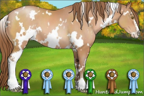 Horse Color:White Spotted Brown Pearl Sabino 