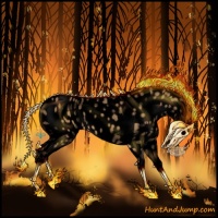 Horse Color:Void Buckskin Dun Near Leopard 