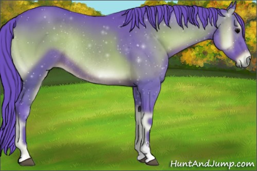 Horse Color:Watercolor Blue Onyx Sabino Rabicano 