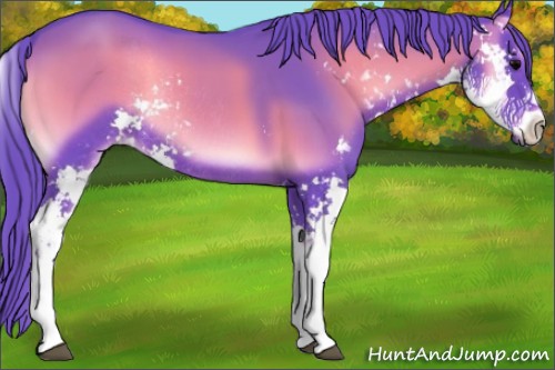 Horse Color:Watercolor Blue Onyx Sabino Rabicano 
