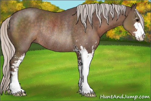 Horse Color:Silver Black Sabino Rabicano 