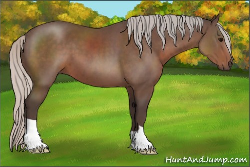 Horse Color:Silver Black 
