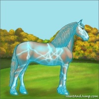 Horse Color:Thunderstruck Liver Chestnut Pearl Sabino 