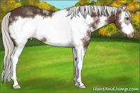 Horse Color:White Spotted Liver Chestnut Mushroom Frame Varnish