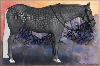 Horse Color:Silver Black Chinchilla 