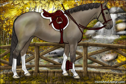Horse Color:Smoky Grullo 