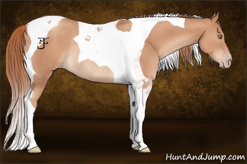 Horse Color:Gold Champagne Tobiano Rabicano 