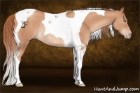 Horse Color:Gold Champagne Tobiano Rabicano 