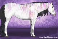 Horse Color:White Spotted Brown Ice Onyx 
