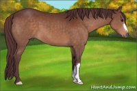 Horse Color:Chocolate Brown 