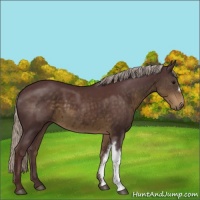 Horse Color:Chocolate Silver Smoky Black 