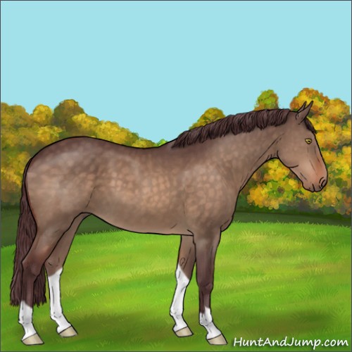 Horse Color:Chocolate Brown Dun