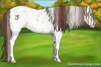 Horse Color:White Spotted Amber Champagne Dun Sabino Blanket 