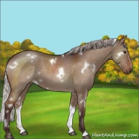 Horse Color:White Spotted Chocolate Silver Brown Dun