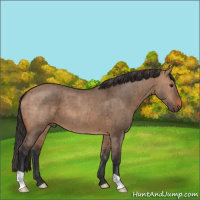 Horse Color:Brown Dun Brindle