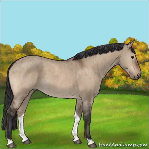Horse Color:Brown Dun Brindle