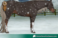 Horse Color:Liver Chestnut Tobiano 