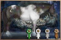 Horse Color:Midnight Liver Red Onyx Ice Tobiano 