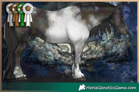 Horse Color:Midnight Liver Red Onyx Ice Tobiano