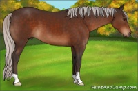 Horse Color:Silver Brown 
