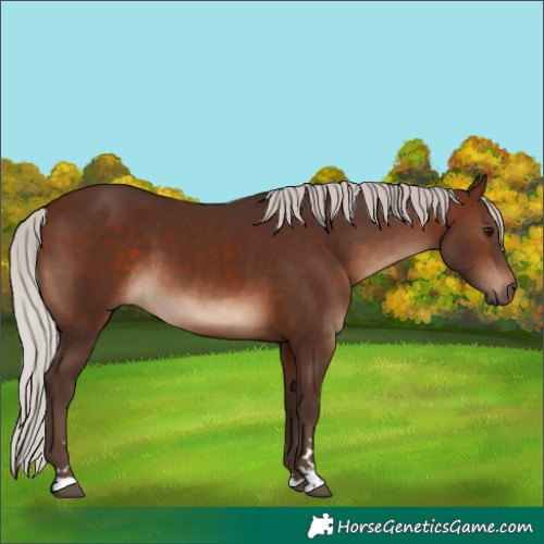 Horse Color:Silver Brown 