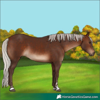Horse Color:Silver Brown 