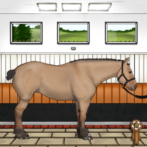 Horse Color:Bay Dun