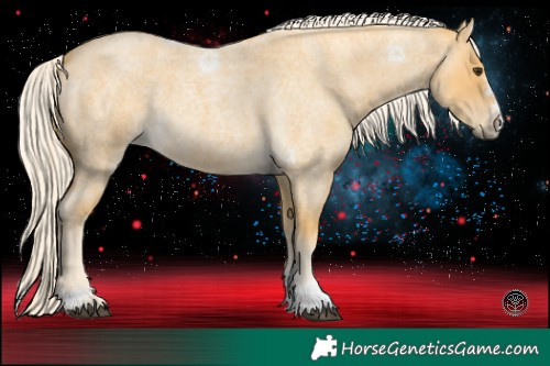 Horse Color:Palomino Roan