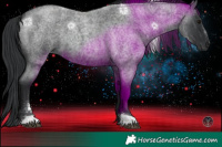 Horse Color:Blue Roan 