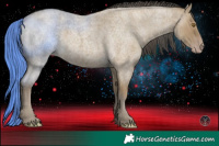 Horse Color:Classic Cream Champagne Roan 