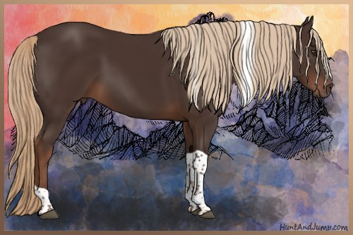 Horse Color:Liver Chestnut Tobiano 