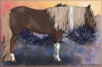 Horse Color:Liver Chestnut Tobiano